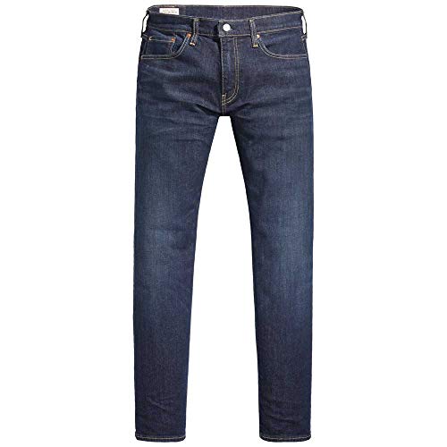 Levi's 502 Taper Jeans Erkek Jean Pantolon, Biologia Adv., 29W / 30L